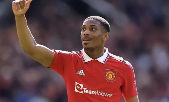 己的不足 己的不足